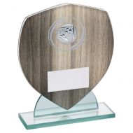 Wood Effect Glass Shield With Football Insert And Plate - 5.5in : New 2022