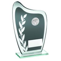 Grey/Silver Glass Plaque Football Trophy 7.25in