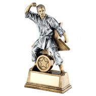 Bronze Gold Pewter Male Martial Arts Figure With Star Backing Trophy 9in : New 2019