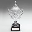 Glass Cup Trophies