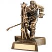 Ice Hockey Trophies