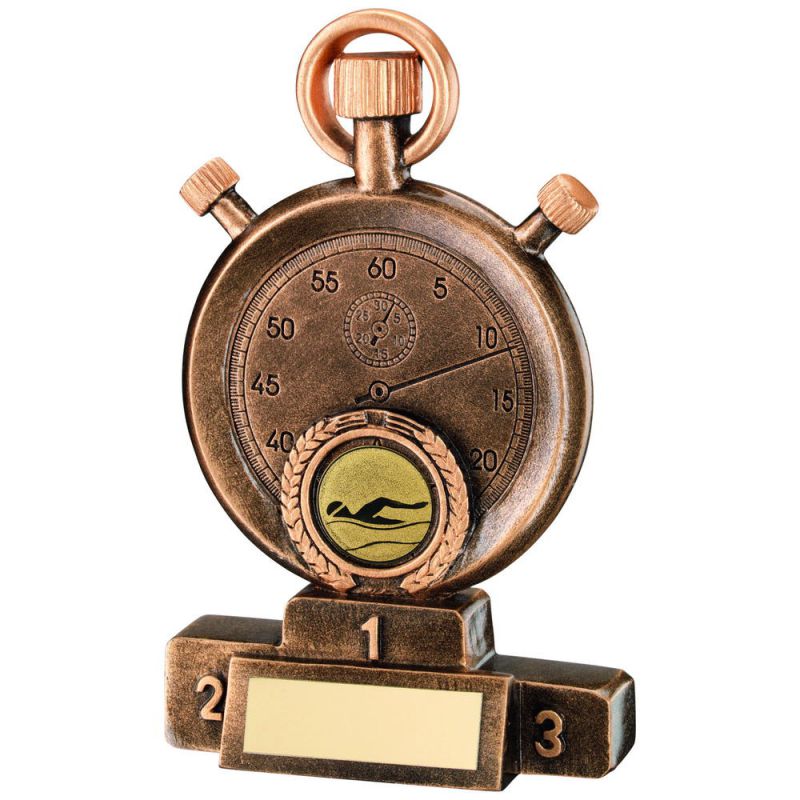 Science Mini Cup Brz/Gold Trophy - 3.75" Free p&p & Engraving 1" Centre 