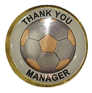 Thank You Manager Lapel Pin Badge 25mm 1" 
